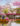 cherry blossoms feature image