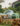 Jungle bubble stay